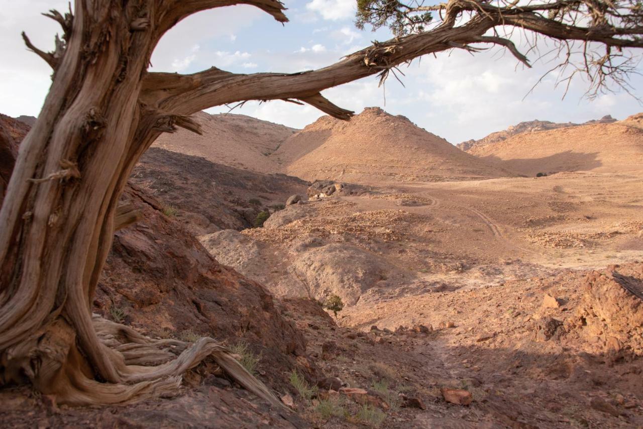 مبيت وإفطار وادي موسى Bedouin Pink Ecohouse المظهر الخارجي الصورة