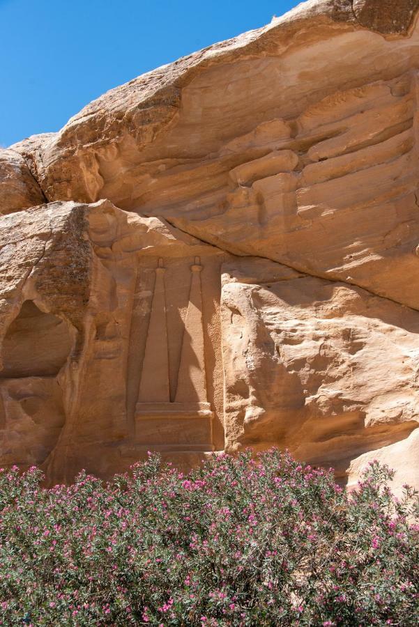 مبيت وإفطار وادي موسى Bedouin Pink Ecohouse المظهر الخارجي الصورة